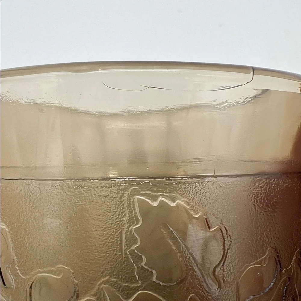 Rigolleau “Flor Colonial” ftSmoky Glass Cups Floral Industria Argentina (Set of